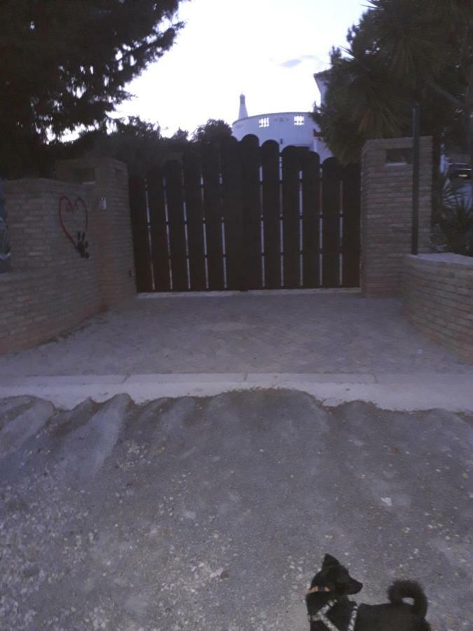 Alojamento Local Patudos, Suite Com Terraco Privado Tavira Buitenkant foto