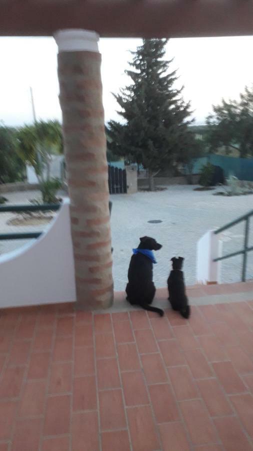 Alojamento Local Patudos, Suite Com Terraco Privado Tavira Buitenkant foto